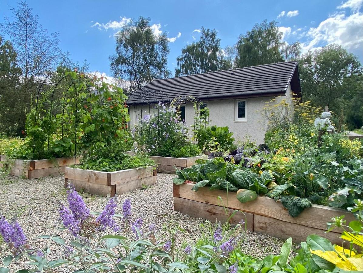 Homestead Cottage, פורט אוגוסטוס מראה חיצוני תמונה